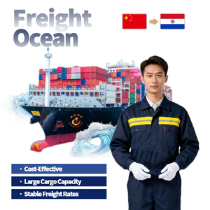 저렴한 중국 파라과이 해양 화물 (FCL/LCL) + 포장 및 통관을 포함한 UPS 배송 - Product Image 1