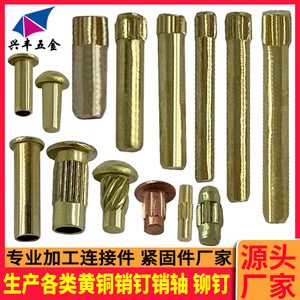 Rivets en laiton moletés de 0,8 à 6,5 mm de diamètre et de 2,0 à 80 mm de longueur pour enseignes et applications de fixation - Product Image 3