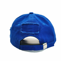 Casquettes Snapback, Casquettes pour chignon, Casquettes de baseball, Casquettes de camionneur, Casquettes en maille, Casquettes de sport pour femmes et hommes