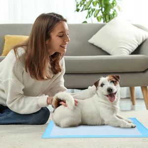 Small Orders Welcome 60X60cm Disposable Basics Pet Urine Pads 6-Layer Quick-Dry Surface Puppy Dog Potty Training Mats - Product Image 3