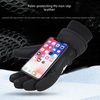 Gants de ski d'hiver à faible MOQ, imperméables, compatibles écran tactile, thermiques, pour hommes et femmes