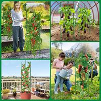 Senershuo 2er-Pack 28,4 cm Robuste Dreieckige Tomatenkäfige Kunststoffbeschichteter Stahl Pflanzengitter für Kletterpflanzen Hochbeete