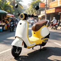 Vélo électrique de ville 10 pouces avec siège réglable, pneus antidérapants, moteur sans balais 1000W, batterie 60V pour la conduite urbaine