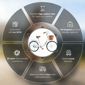 Vélo Urbain Utilitaire Personnalisé pour Femme, 26 Pouces, en Acier Carbone Soudé <span class=keywords><strong>TIG</strong></span>, Frein V, Style Vintage, Disponible en Stock – Fabrication OEM - Product Image 3