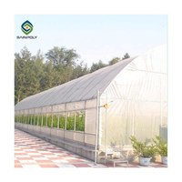 Serres agricoles à structure simple, fabricants de produits en plastique pour serres, serres tunnel en film, serres hydroponiques, serres