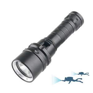 Lampe de plongée Superior DL-2000 – de Grevelingen