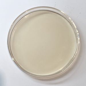 Аминокислотные органические Жидкие растительные удобрения, Биостимулятор, сельскохозяйственные удобрения, листовое удобрение, аминокислота, Органическая жидкость - Product Image 6