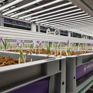 Stable Ventilation Natural Airflow Insulated <b>Light</b> Blocking Container, Bolt-Assembled Growing Racks for Commercial Saffron Farm - Product Image 2