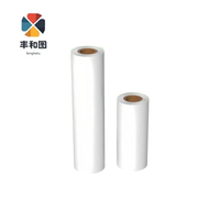 Film DTF de haute qualité I3200 Xp600 30cm 33cm 60cm pour imprimante I3200 compatible encre UV/solvant Nouveau film PET cristal souple