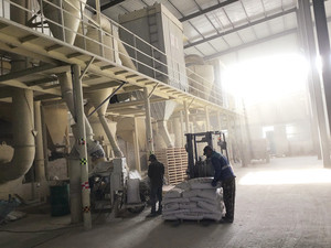 Polvere di <span class=keywords><strong>Terra</strong></span> Diatomacea Assorbente per Tutti gli Usi, Diatomite per la Produzione di Blocchi e Mattoni - Product Image 5