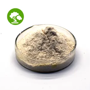 Bromelain Powder Pineapple Extract Bulk Pure Natural Pineapple Powder