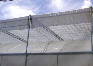 Invernadero Multi Span Invernadero agrícola Película Invernadero de plástico con sistema hidropónico para ventas - Product Image 6