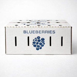 Cold Chain Ventilated Corrugated Carton for Blueberry Transport 10 LBS RSC Industrial Packaging <strong>Box</strong> - Product Image 3
