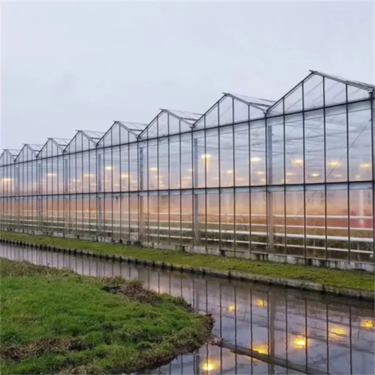 Sistem Hidroponik Pertanian Vertikal Aquaponik Struktur Rumah Kaca Rumah Hijau dengan Sistem Pertumbuhan Hidroponik