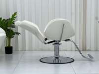Chaise de coiffeur rose et bleue pour hommes Chaise de coiffeur Salon de beauté Chaise pour coiffeur Salon de beauté