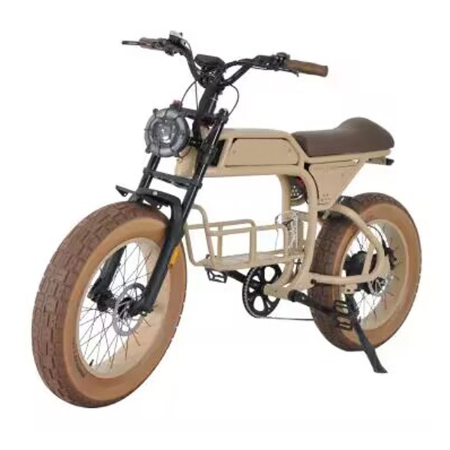 Out Door off Road Sports 20 Inch Frame Suspension 7 Speed Super Power 500W 750W 1000w Dual Motor Hunting Electric Bicycle E Bike