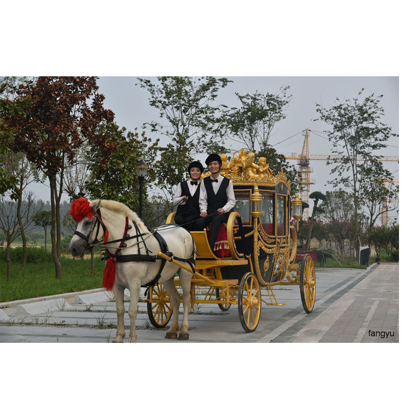 Уникальный дизайн, королевская Роскошная коляска