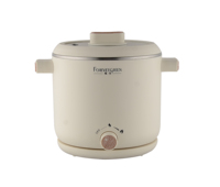 Appareils électroménagers, bouilloire électrique multifonction, marmite de cuisson électrique, cuiseur à œufs, cuiseur à légumes et à riz