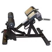 Banc d'hyperextension pour équipement de fitness de chaise romaine d'extension de dos de tube ovale de centre de gymnastique commerciale