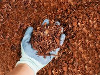 Copeaux de noix de coco compressés 5 kg USA Canada Husk Shell Chunk Coir Coco