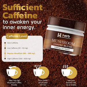 Poudre de café aux champignons OEM/ODM – Complément personnalisé de champignons Reishi, Shiitake et Morille – Extrait de champignons en poudre pour café - Product Image 6