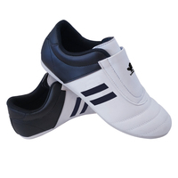 2024 Nouveau Style Blanc Couleur Arts Martiaux Taekwondo Chaussures