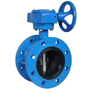 DN50-DN300 PN10-16 DI Concentric Double Flange Butterfly Valve with Manual Gearbox
