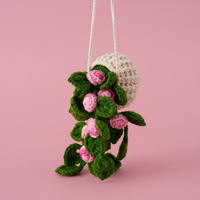 Décoration suspendue faite main au crochet pour pot de fleurs, ornement coloré tricoté pour plantes, breloque de voiture