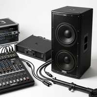Haut-parleur PA professionnel directement de l'usine avec une sortie stable, idéal pour les concerts, les églises et les événements en direct.