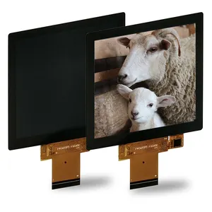 Suppliers fortune companies In-Plane Switching 4.0 LCD Panel 480*480 LCD Display 480*480 Square Display