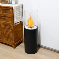 Cheminée moderne autoportante à l'éthanol Cheminée à l'éthanol en verre trempé en acier inoxydable avec conception de plancher avec emballage par correspondance
