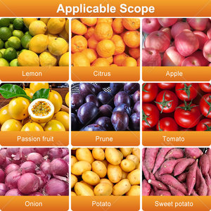 Trieuse de fruits MY : Trieuse de qualité et de taille pour avocats, oignons, pommes de terre, mangues et pommes (petite taille) - Product Image 6