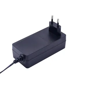 60W AC/DC Plug-In Power Adapter 5V Output and 12V Input for Battery Charging Power Adapter Type