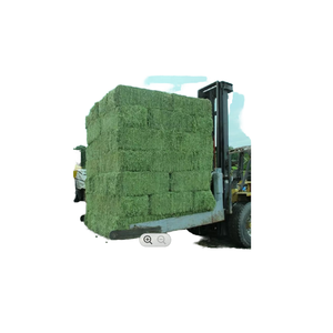 Max Luzerne Foin Lucerne 1% Max Adjuvant Aliment 12x12x12 Cube 450kg Balles 25 Tonnes 15 Jours D'approvisionnement pour Chiens Porcs Bovins Chevaux Poisson - Product Image 1