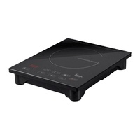 Cuisinière à induction solaire multifonction à prix avantageux, plaque chauffante OEM/ODM, cuisinière à induction électrique solaire DC