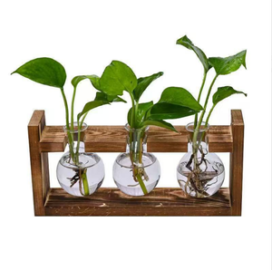 Vaso Idroponico KIKA Moderno ed Ecologico <span class=keywords><strong>in</strong></span> Vetro e <span class=keywords><strong>Legno</strong></span> Intagliato a Mano, Design Circolare, Porta Piante per Interni/Esterni, Decorazione <span class=keywords><strong>da</strong></span> Tavolo - Product Image 6