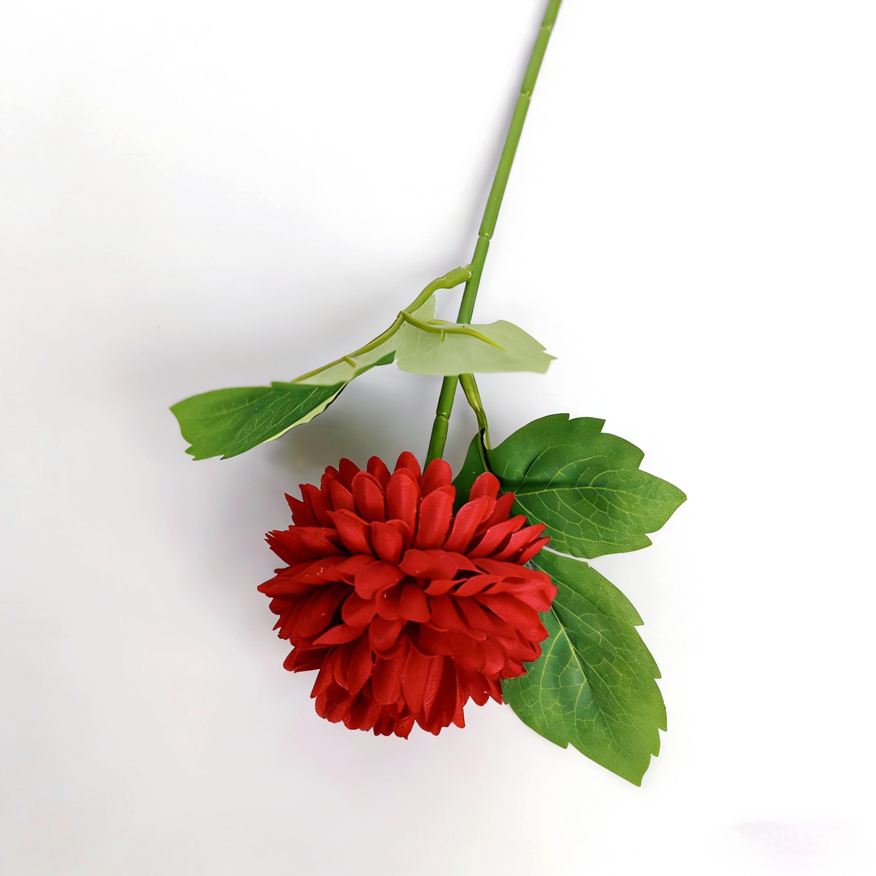 Tige unique rouge vif avec feuilles