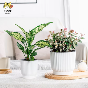 TGYW Durable Plastic Self-Watering Indoor <strong>Plant</strong> Pots for Flowers and Succulents - Product Image 1