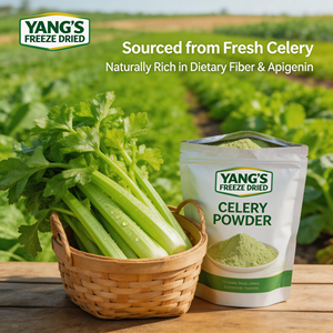 Gefreeze-droogde Selderijpoeder 100% Zuiver Zonder Toevoegingen Voedingskwaliteit Rijk aan Vitaminen Wateroplosbaar Bulk voor Gezonde Voeding Drank Export - Product Image 2