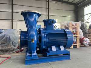 Pompe à eau centrifuge horizontale de calibre 65 mm avec un débit de 25 mètres cubes par heure - Product Image 5