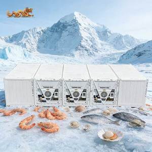 Congelador refrigerado de 20 pies, sala de almacenamiento en frío, contenedor refrigerado de 20 pies y 20 pies con 3 unidades de refrigeración Thermo King - Product Image 1