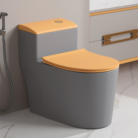 Inodoro de Cerámica de Lujo a Precio Económico, Sanitarios de Alta Gama, Inodoro Gris, Inodoro de Pie para Baño