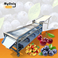 Mijn tomaten kiwi knoflook noten fruit groente sorteermachine hoge efficiëntie 304 roestvrij staal