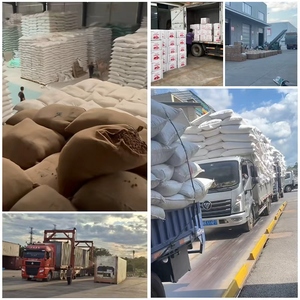 Fournisseurs chinois sélectionnés graines <span class=keywords><strong>de</strong></span> cumin Source usine <span class=keywords><strong>Grains</strong></span> dodus prix <span class=keywords><strong>de</strong></span> gros - Product Image 5