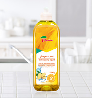 Rayshine Eco-friendly Kitchen Cleaning Supply Parfum de gingembre Détergent liquide pour vaisselle Détergent pour fruits en vrac 500 g
