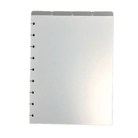 Carpeta Archivadora con Separadores de Plástico PP Esmerilado, con Logotipo Personalizado, 4x6, 5x7, 6x8, con Pestaña Superior