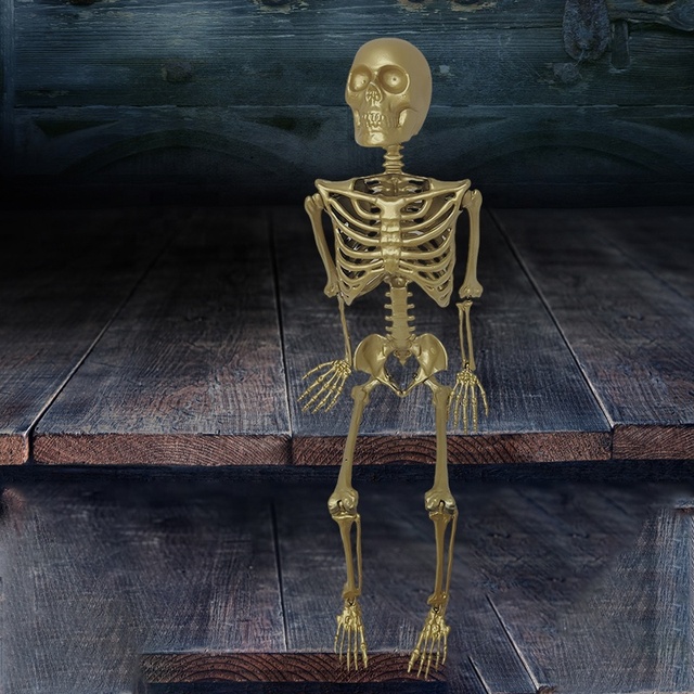Custom Large Human Skeletons Halloween Props Life Size Full Body Human Movable Skeletons Halloween Garden Decorations