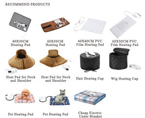 低价40X30CM中国供应商制造220伏暖垫认可带定时器的电热垫 - Product Image 2