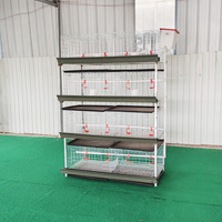Cage à poulets de chair à 4 niveaux en acier galvanisé, capacité 60/80 poulets adultes, à vendre