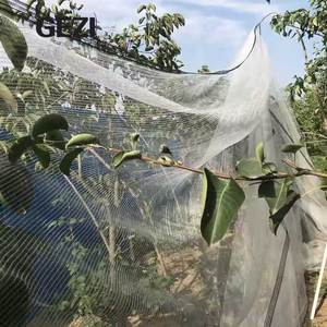 Nhiệm Vụ Nặng Nề Leno Dệt Mưa Đá Net Nông Nghiệp Crop Mưa Đá Bảo Vệ Net Có Thể Tái Chế HDPE Chất Liệu Với Nút Lỗ Cho Tie-Xuống - Product Image 5